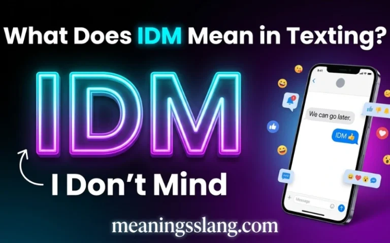 IDM Meaning in Text