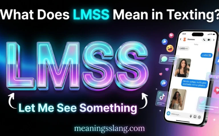 LMSS Meaning in Text