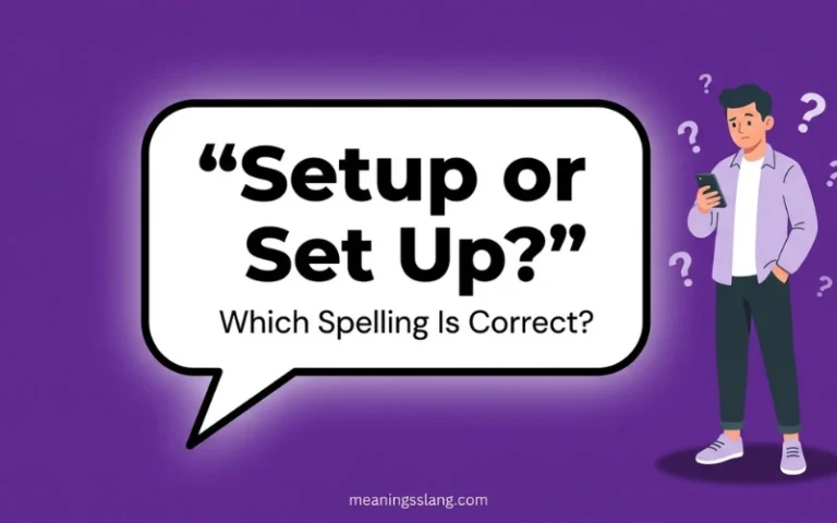 Setup or Set Up