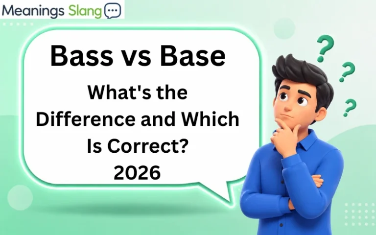 Bass vs Base
