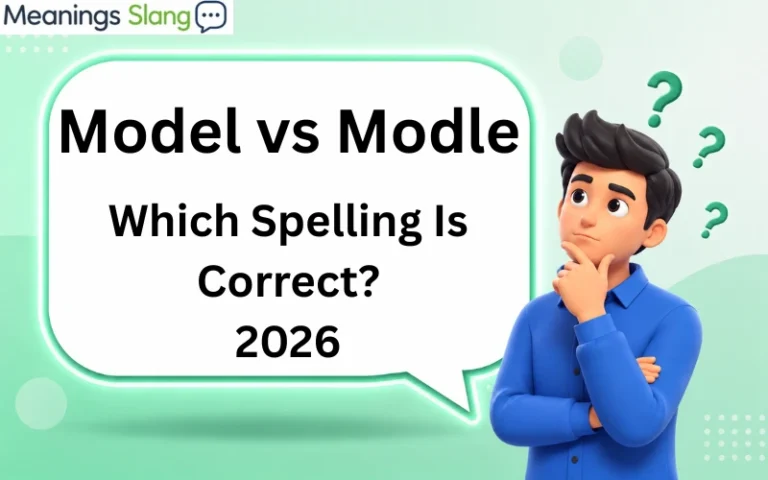 Model vs Modle