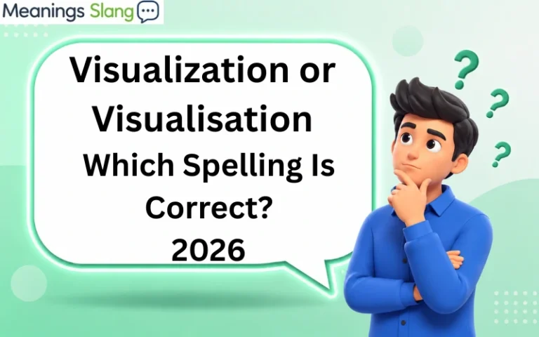 Visualization or Visualisation